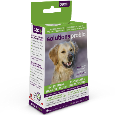 Baci Solutions Probio Pre Probiotics for Dogs