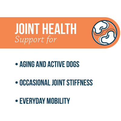 Bayer Synovi G4 Joint Supplement Chews for Dogs Canadian Pet