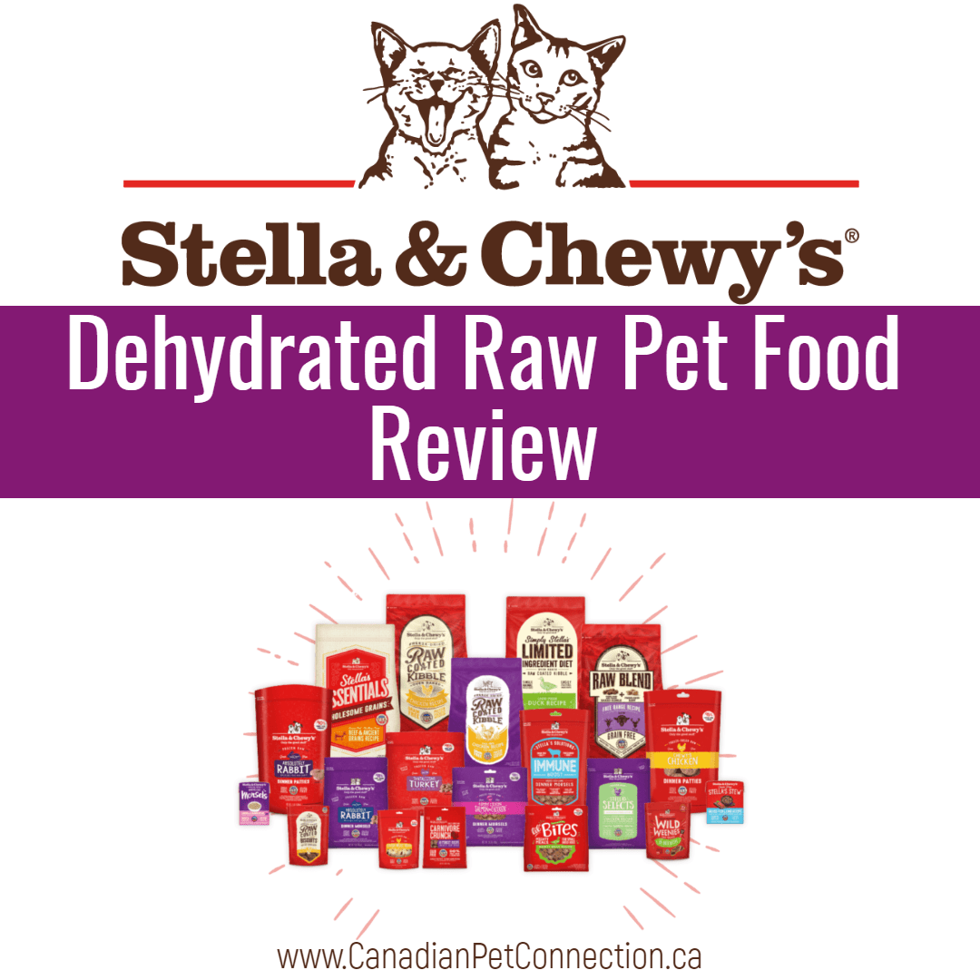 Is Stella & Chewy's Marie's Magical Dinner Dust a Good Buy? (Complete  Review) - DogVills