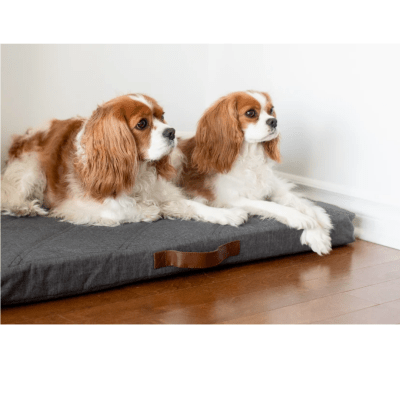 Nap pet on sale beds