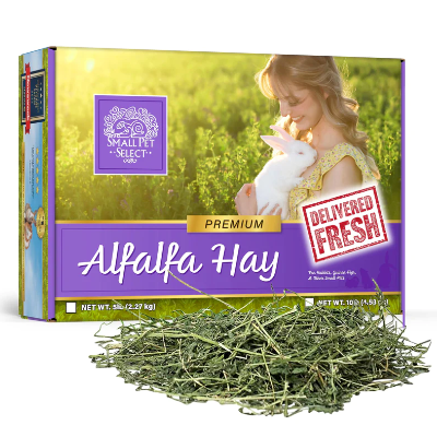 Small Pet Select Alfalfa Hay