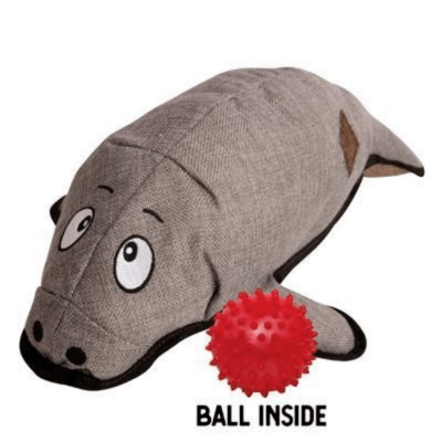 Dog toy with ball inside outlet