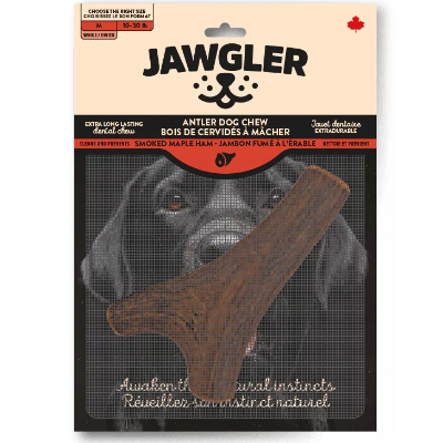 Jawgler Smoked Maple Ham Whole Antler Dog Chew