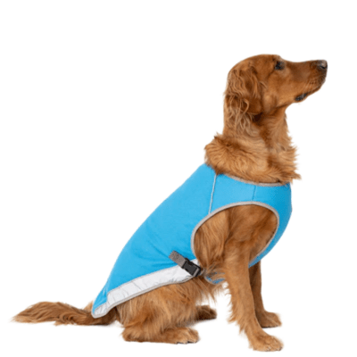 Cooling collar online
