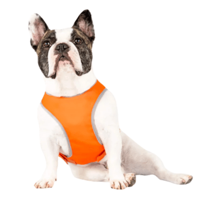 Canada Pooch High Visibility Dog Safety Vest