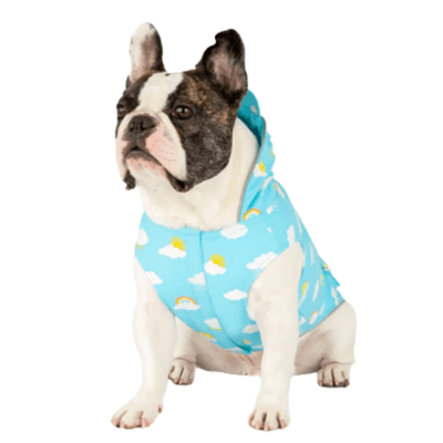 Canada Pooch Blue Cloud Wet Reveal Torrential Tracker Dog Raincoat