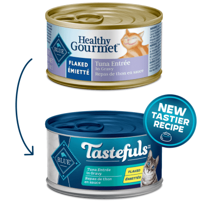 Is canned tuna healthy for cats online