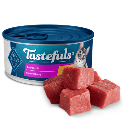 Beef pate cat food outlet