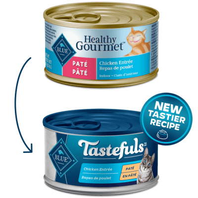 Blue healthy best sale gourmet cat food
