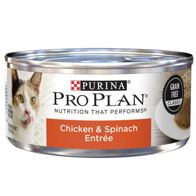 Purina pro plan grain free wet cat food online