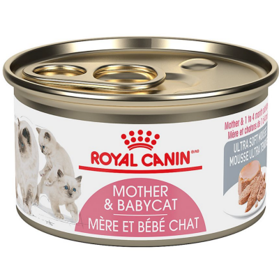 Royal Canin Feline Breed Nutrition Mother and Babycat Canned Cat Food