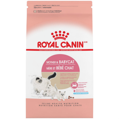 Mother and baby cat royal top