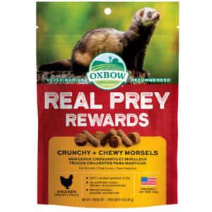 Ferret toys petsmart online
