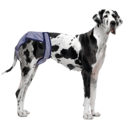 Great dane dog diapers shop