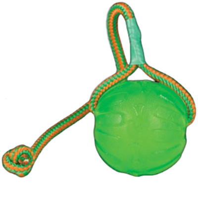 Starmark swing and fling sales ball