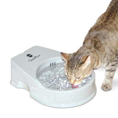 PetDreamHouse SPIN Windmill Interactive Adjustable Slow Feeder for Cats &  Dogs