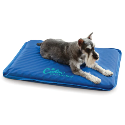 K H Coolin Comfort Dog Bed