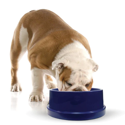 OurPets DuraPet Slow Feed Premium Stainless Steel Dog Bowl (Durable St –  Benson's Pet Center