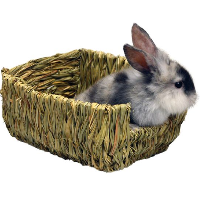 Marshalls dog beds sale