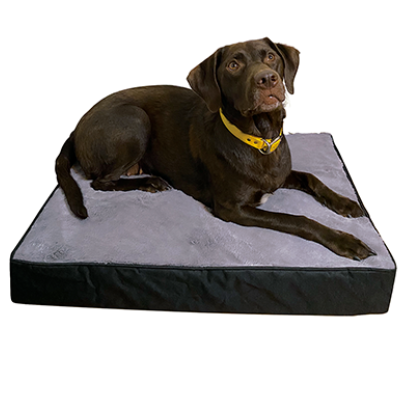 Ruff Love Orthopedic Pet Bed