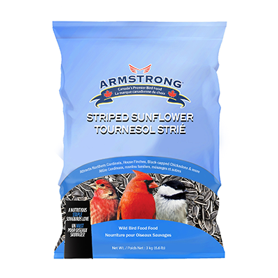 Armstrong Striped Sunflower Bird Seed