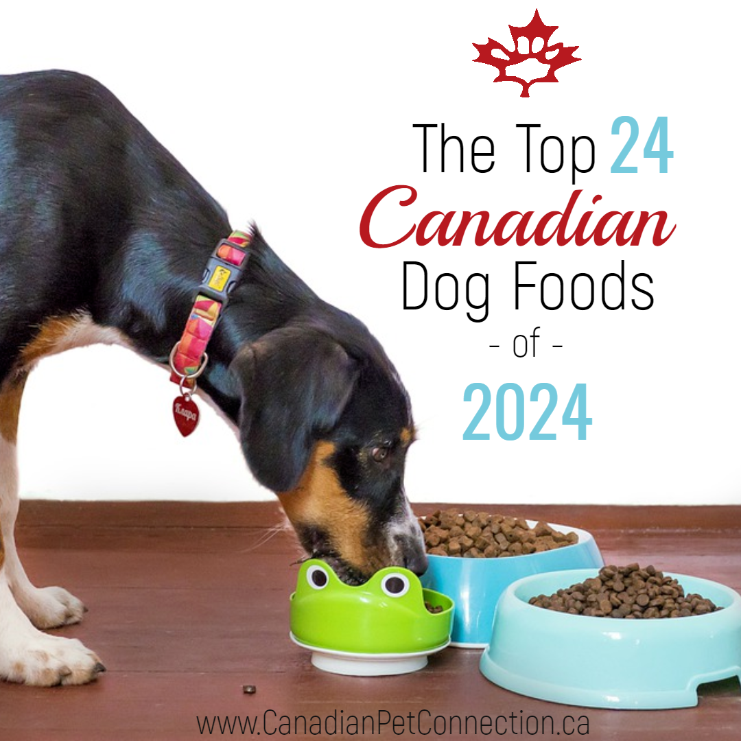 The Top 24 Dog Foods in Canada for 2024