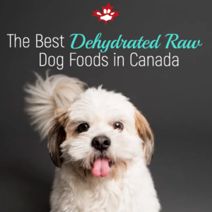 Dehydrating raw meat for dogs top