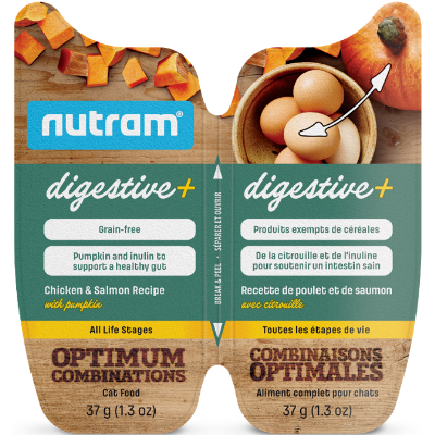 Nutram Digestive+ Chicken and Salmon with Pumpkin Wet Cat Food