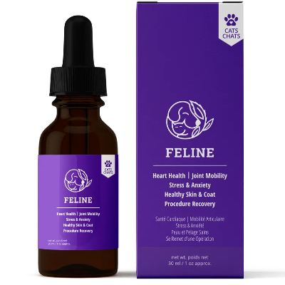 Reelax Feline Oil Supplement
