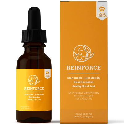 Reelax Reinforce Dog Oil Supplement
