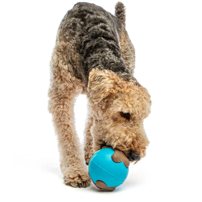 Guru Busy Ball Dog Toy Canadian Pet Connection