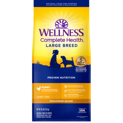 Wellness dog food salmon cheap