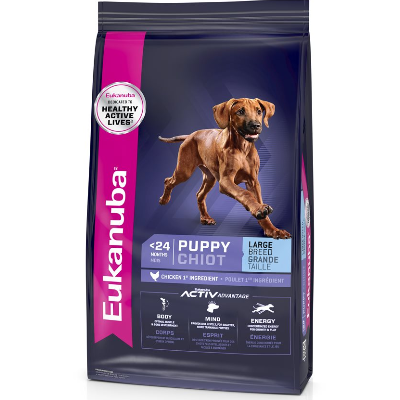 Eukanuba Chicken Large Breed Puppy Food
